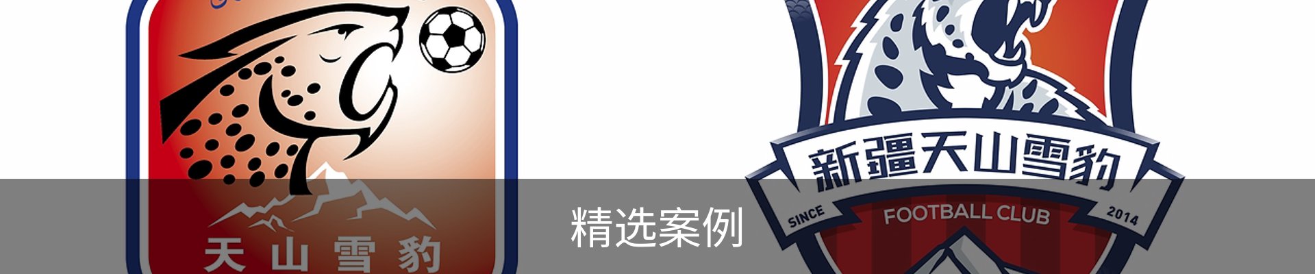精选案例